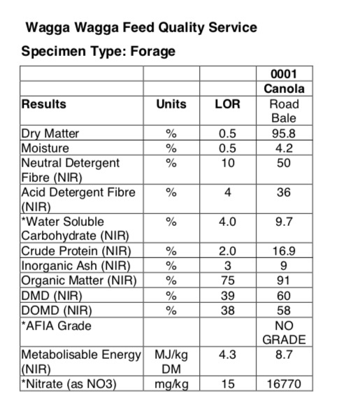 200 x Canola Hay 5x4 Rolls