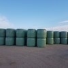 Top Quality Pasture Silage For sale