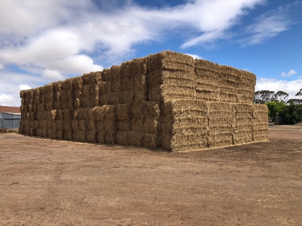 468 x Clover/ Rye Hay 8x4x3 Bales