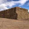 468 x Clover/ Rye Hay 8x4x3 Bales