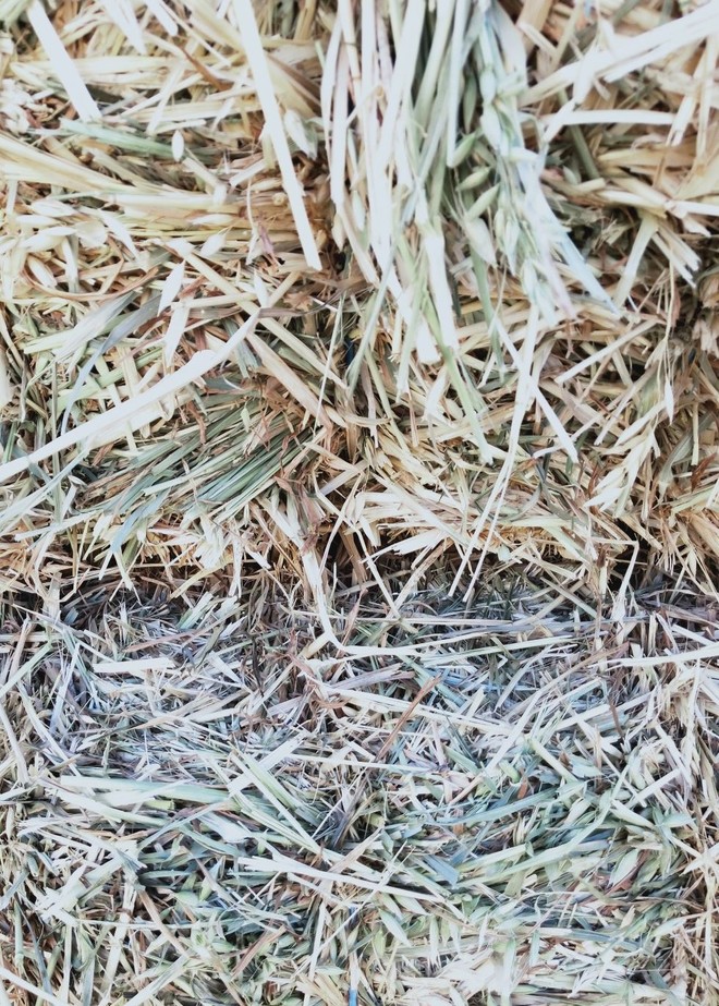 Oaten Hay $115 plus GST