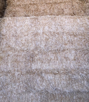 Barley Straw, Shedded, Header Trailed 8x4x3 (approx. 470-500kg bale weight)