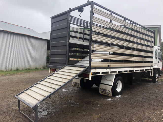 ISUZU 1999 MODEL, 550 LONG, STOCK CRATE, TIP TRAY