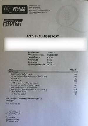 200mt Feed Lentils 27.6% protein