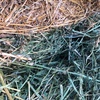 Lucerne Hay 5x4 Rolls 3rd cut