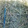 Lucerne Hay Second Cut & Third cut
