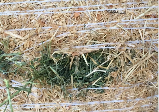 2018 Vetch & Rye Grass 5x4 Round Bales 
