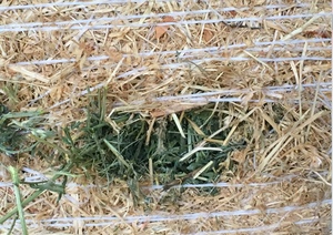 2018 Vetch & Rye Grass 5x4 Round Bales