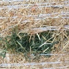2018 Vetch & Rye Grass 5x4 Round Bales 
