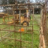stock crate 
