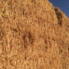 SSS Sudan Grass Hay 8x4x3