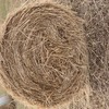 Hay - Barley (new season).  4 x 4 Round Bales