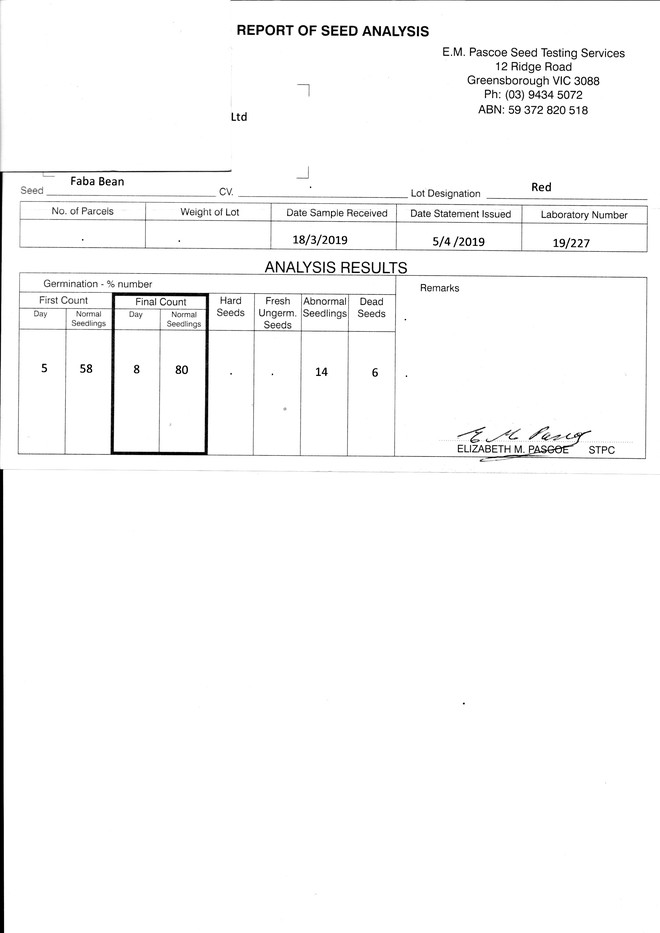 12-14mt Faba Beans Seed