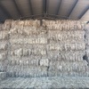 Irrigated Clover and Rye Small Square Bales