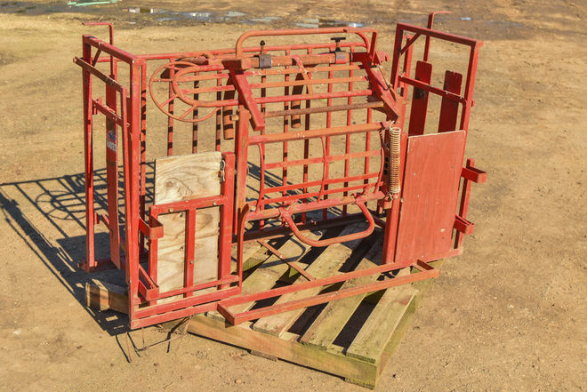 Under Auction - Hayes Sheep Handler - To Be Auctioned on 01/10/19 