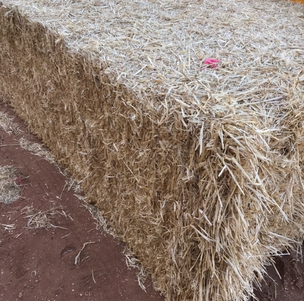 500mt Barley Straw 8x4x3 Bales