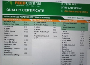 200mt Oaten Hay 600kg 8x4x3 Bales ex farm