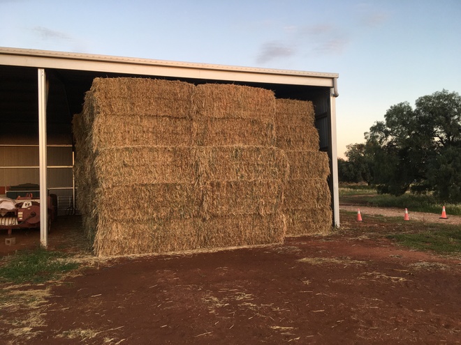 Oaten Hay 8x4x3 Bales