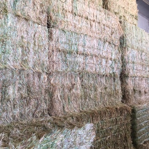 Oaten hay
