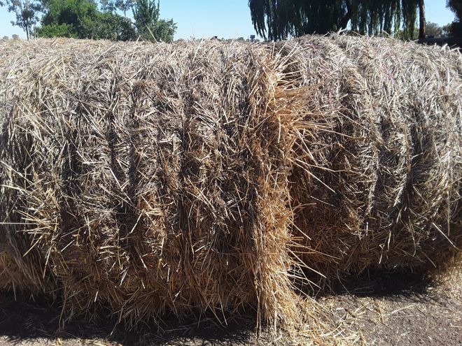 Vetch & Cereals Hay 5x4 Rolls