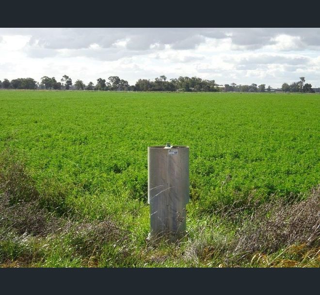 LARGE SCALE IRRIGATION – CROPPING – FODDER – GRAZING 963 ACRES (390 HA) – 5 TITLES. To Be Auctioned Friday 26th June 11am Onsite