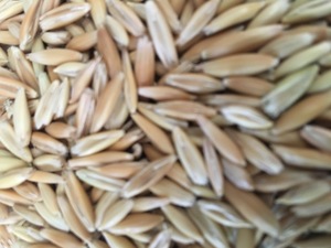 YARRAN OATS
