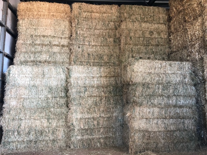 2 x B-Double Loads of Rye Clover Hay 650 Kg's Seller to Freight