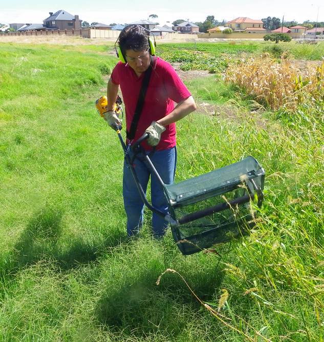 Handheld Brush Harvester