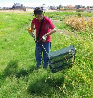 Handheld Brush Harvester