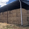 Rye Grass Hay