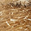 Barley Straw 8x4x3 Bales from Stripper Front