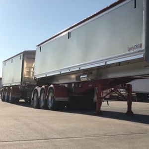 WANTED B Double Stag Grain Tippers 