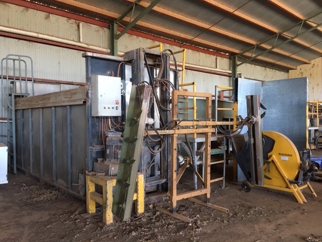 Pumpkin Grader and Washer