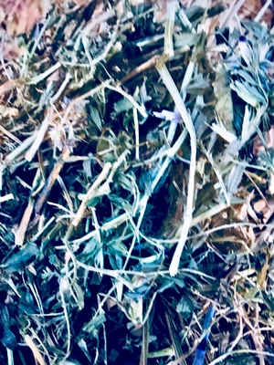 Vetch Hay 8 x 4 x 3 Bales (~650kg Bales)