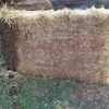 Oaten Hay - Big Squares