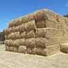 120m/t Oaten Hay 8x4x3 Bales 570Kg's
