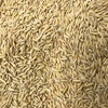 18MT Yallara Oat Seed