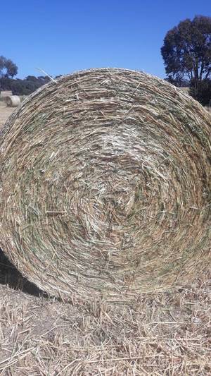 40 m/t New Season Oaten Hay 5x4 Rolls