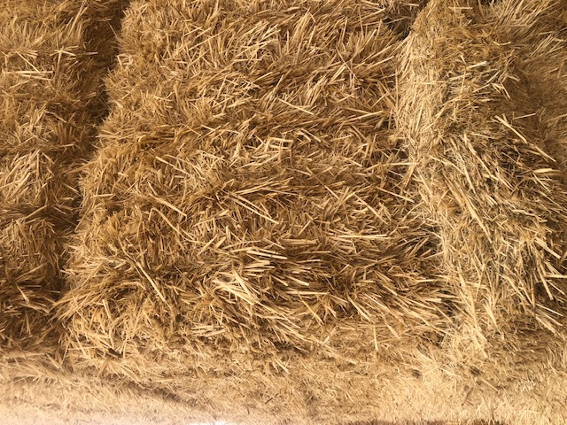 63 t Header Trail Barley Straw 8x4x3 Bales average 480kg