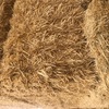 63 t Header Trail Barley Straw 8x4x3 Bales average 480kg