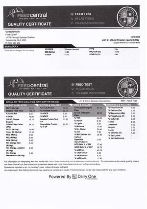 100mt Wheaten Hay 8x4x3 Delivered Moree available now