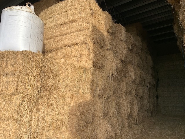 Wheat/Rye Hay 8x4x3