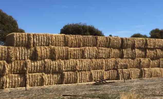 100mt Oaten Hay 8x4x3 Bales with additions