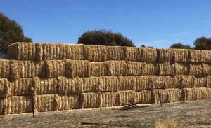100mt Oaten Hay 8x4x3 Bales with additions