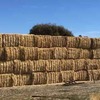 100mt Oaten Hay 8x4x3 Bales with additions