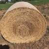 60 x Lucerne Hay 410kg 5x4 Bales