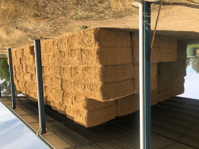 50t Wheaten/Rye Hay