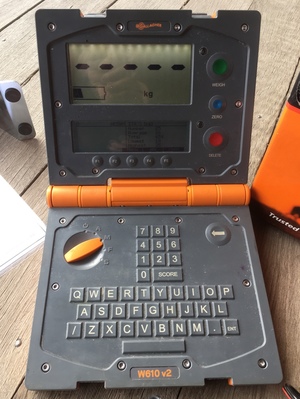 Gallagher W610v2 Weigh Scale