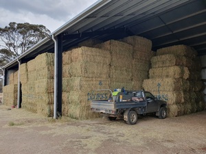 Quality 2019 Season Shedded Wheaten Hay (no rain damage)