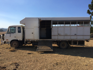 UD 1988 5/6 HORSE TRUCK
